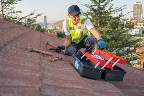 Affordable Siding Repair and Maintenance Services in Panaca, NV